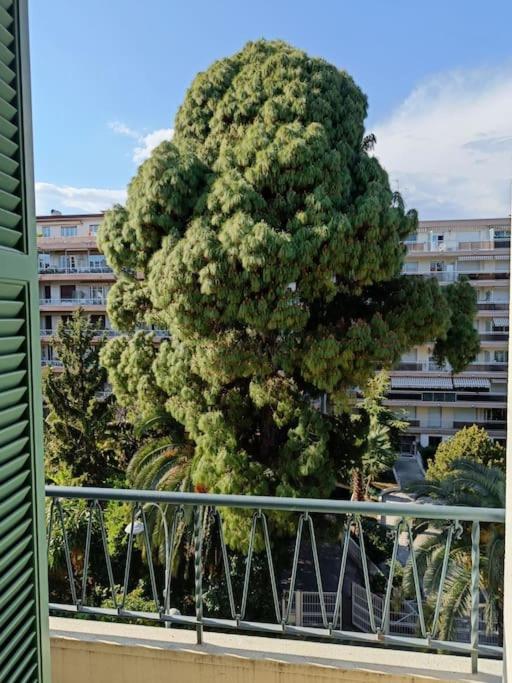 Bel Climatise Appartement